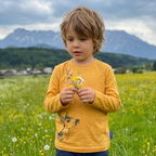 Shirt raspberry dragonfly, merino wool &amp; silk (organic/GOTS)